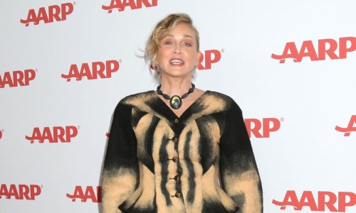 Sharon Stone voli riskirati, ali ovaj put je pretjerala: Je li odabrala najružniju kreaciju sezone