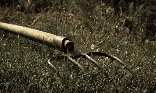 Dvojac letvama napao mladića u njegovom autu: Pokušali ga ubiti, jedan nasrnuo vilama