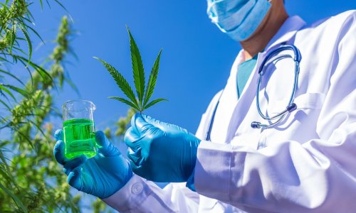 Mnogi vjeruju u ljekovitost kanabisa. Evo što je od toga istina