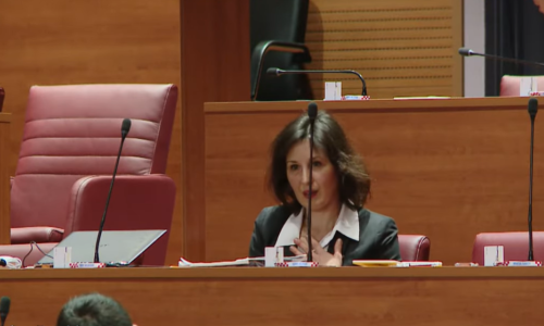 [VIDEO] Saborski zastupnici su mirno raspravljali, a onda se začuo vrisak...