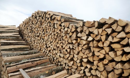 Hrvatske šume korigirale cijene svih drvnih sortimenta, evo za koliko