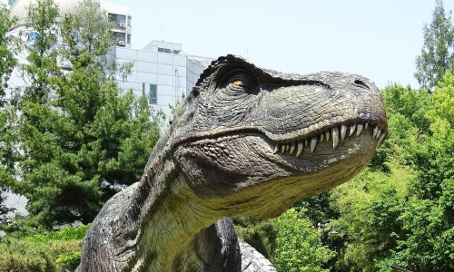 Analiza otkriva: Odrastanje tiranosaura bilo je vrlo dugotrajan proces