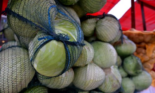 Ekološka proizvodnja u padu: Propada plan države, proizvođača sve manje