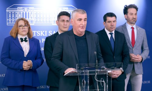 Mostovce brinu 'megafarme' u Banovini: 'Francuzi ih ocijenili prijetnjom nacionalnom interesu'