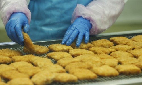 Brazilski div udvostručuje proizvodnju piletine u Saudijskoj Arabiji