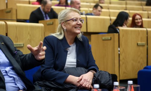 Bradara: Kriza u BiH na državnoj razini će potrajati