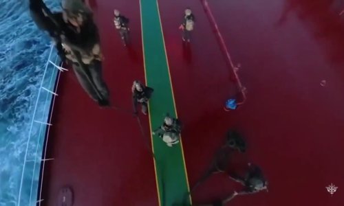 VIDEO Francuski specijalci banuli na ruski 'tanker u sjeni': Evo tko im je dojavio podatke