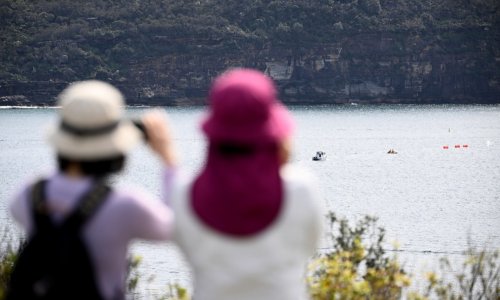 Nico Antic (12) preminuo u bolnici nakon napada morskog psa u Sydneyu