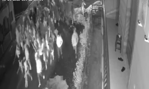 Objavljena snimka torcidaša s palicama: Nakon ovog je uslijedio kaos i napad na Delije