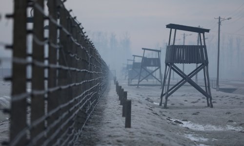 Preživjeli iz Auschwitza: 'Vidim nasilje koje se ponovno opravdava'