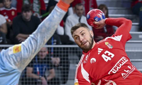 Mađari ne taje slabost uoči Hrvatske: Maseri su naporno radili...