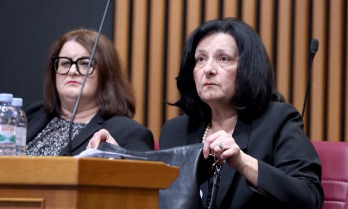 Pao broj zahtjeva za pristup informacijama: 'To je doista alarmantno'