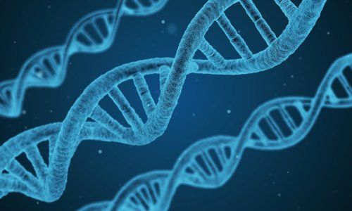 Google predstavio AlphaGenome: 'Čita' ljudski DNK i predviđa bolesti prije nego što nastanu