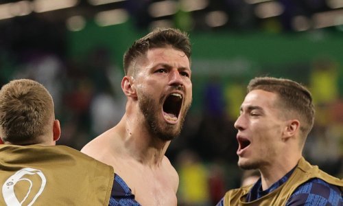 Evo što je trener Fenerbahčea rekao o Petkoviću