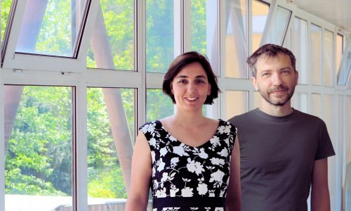 Znanstvenici prvi put pokazuju kako udarci u mlinu pokreću kemijske reakcije