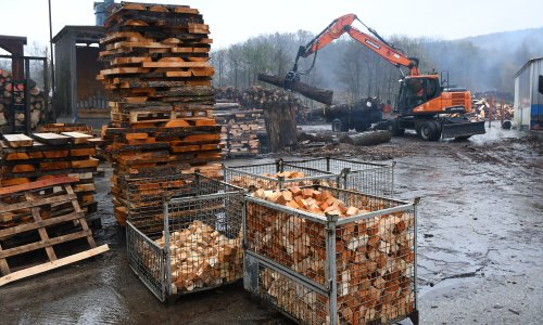 Stižu im milijarde eura prihoda, a potencijala ima još: Drvnoj industriji potreban poticaj
