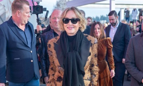 Sharon Stone servirala opaku konkurenciju 'najružnijoj kreaciji': Ovako nešto ne viđa se često