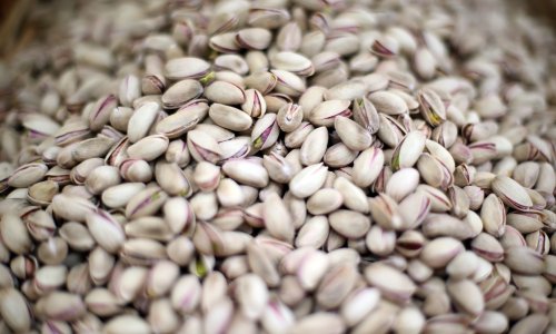 Iranski izvoz pistacije posustao u 2025.