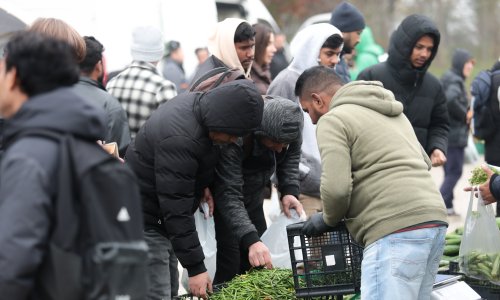 AFP se raspisao o tužnim svjedočanstvima stranih radnika u Hrvatskoj: Pljuvali su me, napadali