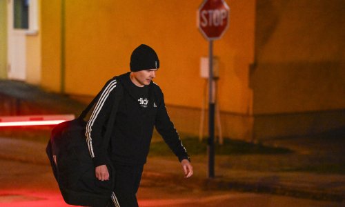 Nikola Petrač javit će se u Remetinec: Odslužit će tri mjeseca za aferu Mikroskopi