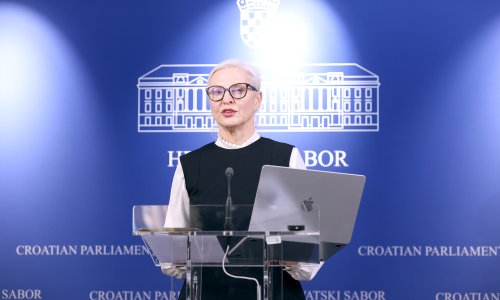 Radojčić o peradarskim farmama u Sisku: 'Očekujem jasne odgovore, građani zabrinuti'