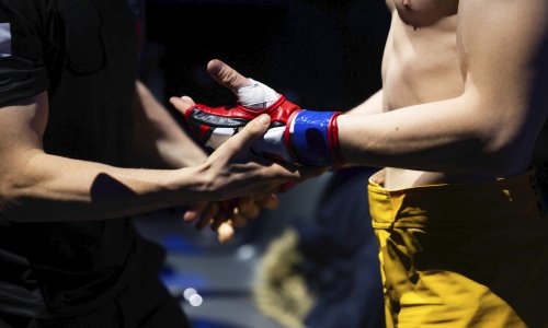 MMA borac opovrgava da je napao sestru, javio se i njegov odvjetnik