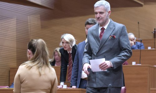 Raspudić: Zar nije ovo čudesno? Plenki Baba došao je iz Indije i izveo čaroliju