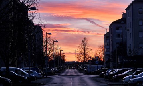 Zima popušta: Ovaj tjedan donijet će nagovještaj pravog proljeća