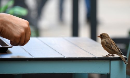 Ugostiteljstvu rashodi rasli brže od prihoda: Troškovi stisli