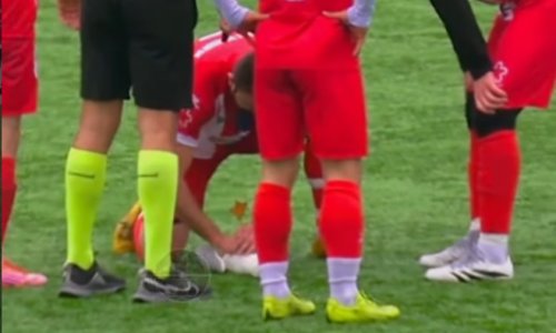 Neviđene scene: Lopta pogodila galeba, igrač ga oživio na terenu