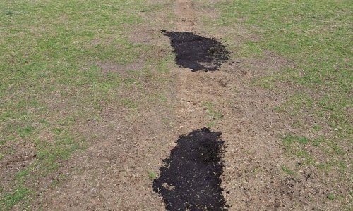 Druga strana priče; Županijski savez oglasio se o kontroverznoj odgodi