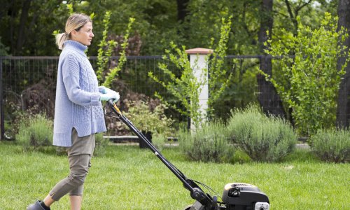 Ovo je najgora stvar koju sad možete napraviti travnjaku: Uništit ćete korijen, a trava će biti rijetka i žuta