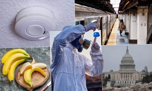 Jeste li znali da su banane radioaktivne? Evo još 9 stvari koje možda ne znate o radijaciji