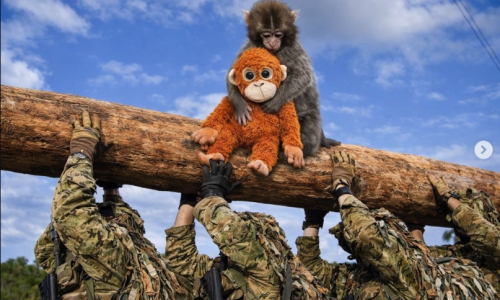 Globalno poznati majmunčić 'posjetio' HV: Pogledajte kakve su fotke objavili u MORH-u