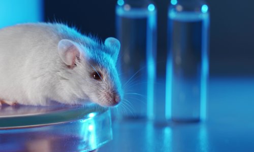 Znanstvenici pronašli kombinaciju lijekova koji produljuju život - ali ne baš svima