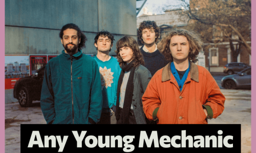 Na INmusic stiže i australski art-folk bend Any Young Mechanic