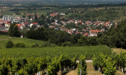 Kutjevo dobiva najneobičniju fontanu u Hrvatskoj: Iz nje neće prskati voda