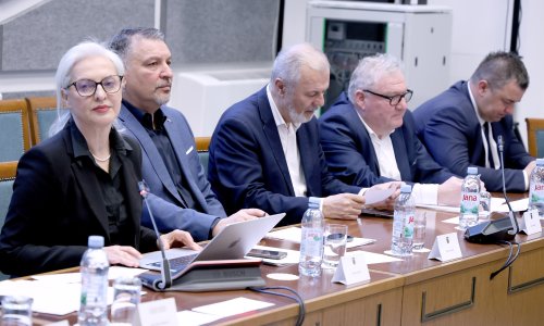 Saborski odbor zadovoljan odlukom oko megafarme u Sisku: Predstavnica PCC-a napustila sjednicu