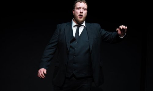 Popularni irski stand-up komičar natupa u Studiju EXIT s monodramom koja je oduševila festivalsku publiku