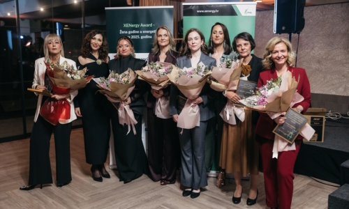 Žene u energetici izvrsno rade, a jedna osoba dobila veliko priznanje: 'Cijenimo vaš trud'
