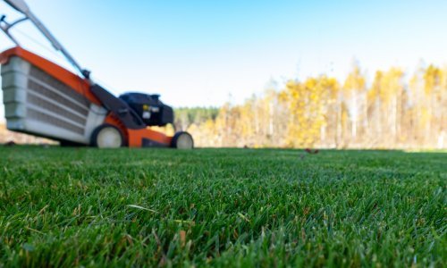 Vrtlari upozoravaju na opasnosti prerane košnje: Zbog mokrog tla možete uništiti travnjak