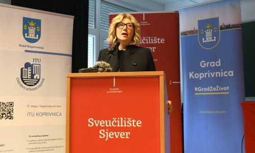 Dogradonačelnica vozila pijana, HDZ traži ostavku: 'Vozila sam s Čolićevog koncerta. Ispričavam se'