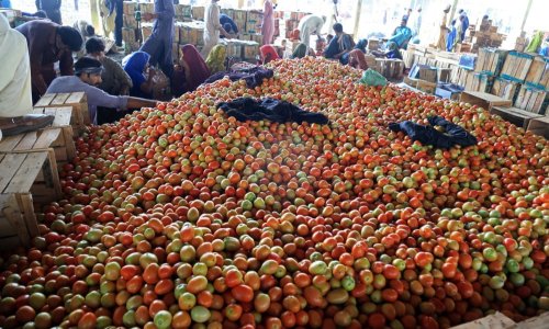 Ratu unatoč: Kapacitet iranske prehrambene industrije premašuje domaću potražnju