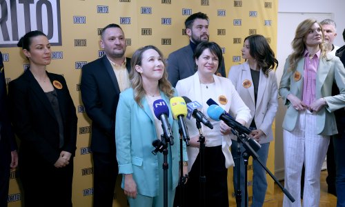 Selak Raspudić predstavila novo ime stranke: 'Ni Pavelić ni Tito, samo Drito'