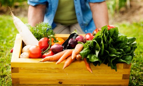 Najlakše povrće za početnike: U kratkom roku očekuje vas bogat urod - bez puno posla