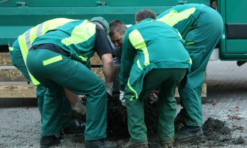Izlaze detalji novog parka na Središću: Podružnica Holdinga već dobila zadatke