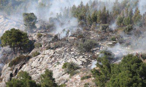 Lokaliziran požar iznad Makarske, vatrogasci ostaju na požarištu cijelu noć