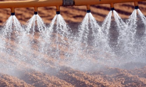 Indija uvozi rekordne količine uree po gotovo dvostruko višim cijenama