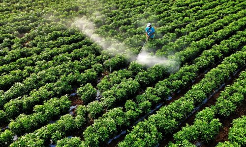Nije samo nafta: Kako bi rat na Bliskom istoku mogao izazvati manjak hrane diljem svijeta