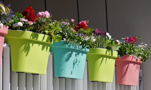 Balkon može izgledati raskošno bez puno muke: Ove trajnice pravi su izbor